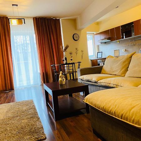 Eclipse Apartment Free Parking คลูจ-นาโปกา ภายนอก รูปภาพ
