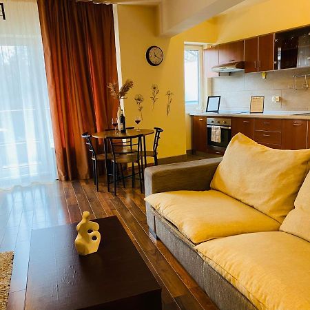 Eclipse Apartment Free Parking คลูจ-นาโปกา ภายนอก รูปภาพ