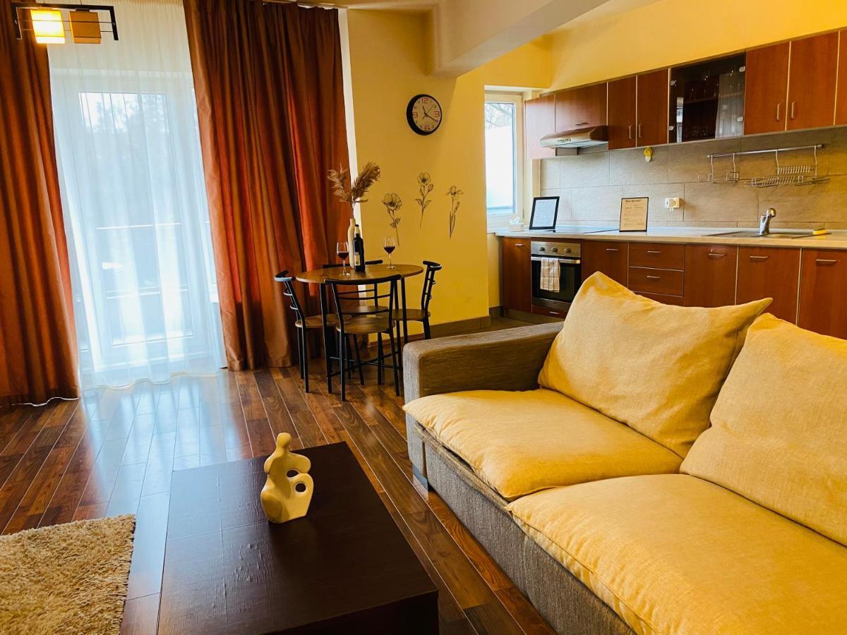 Eclipse Apartment Free Parking คลูจ-นาโปกา ภายนอก รูปภาพ